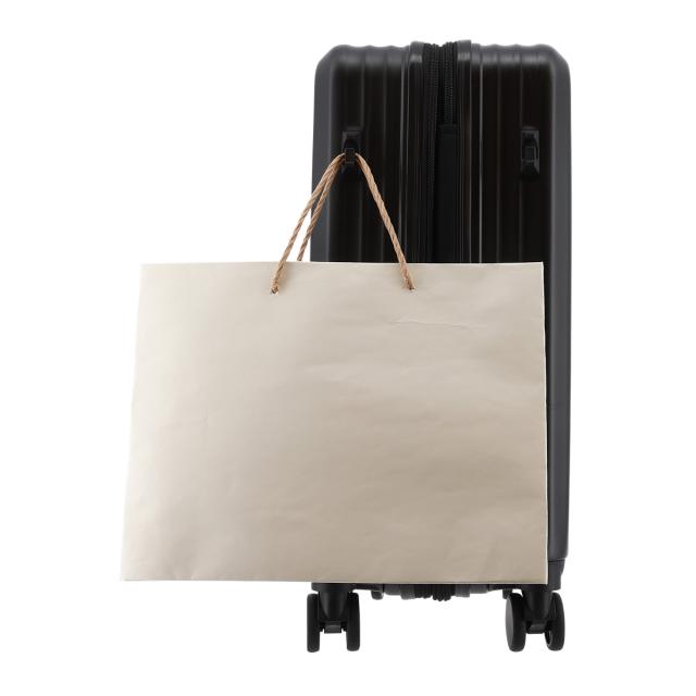 スカイラボ スーツケース 48(55)L 53cm 3.6kgSKY2313-53 SKYLABO | キャリーケース ハードキャリー ファスナー TSロック搭載 エキスパンダブル 拡張 ワンタッチストッパー ポーチ付き_8