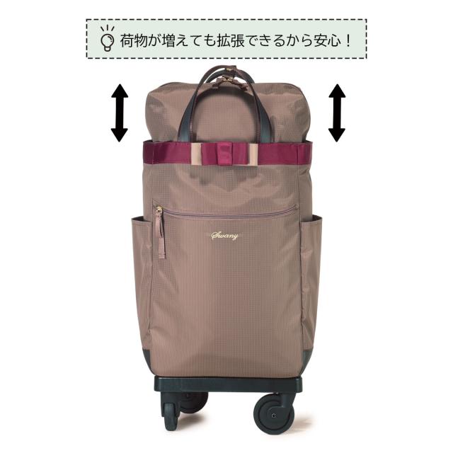 スワニー ショッピングカート 4輪 B4 撥水 機内持ち込み ルバンド D-640L21 SWANY ショッピングキャリー デイリーキャリー お買い物 シニア 旅行 普段使い おしゃれ_12