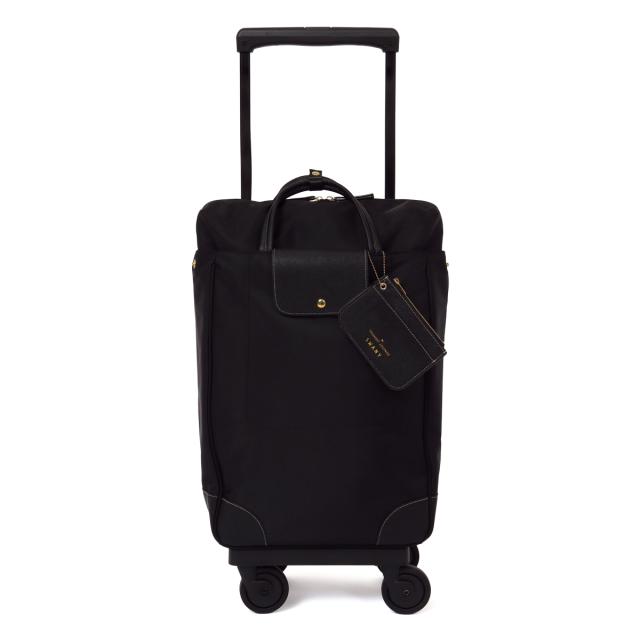 【レビュー投稿で+5％還元】スワニー トランジットラウンジ ショッピングカート 30L 55cm 2.5kg ショッピングキャリー レディース 東京デリカオリジナル SWANY 静音 静か お買い物キャリー キャリーバッグ キャリーカート 母の日 防災バッグ