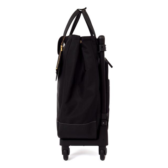 【レビュー投稿で+5％還元】スワニー トランジットラウンジ ショッピングカート 30L 55cm 2.5kg ショッピングキャリー レディース 東京デリカオリジナル SWANY 静音 静か お買い物キャリー キャリーバッグ キャリーカート 母の日 防災バッグ