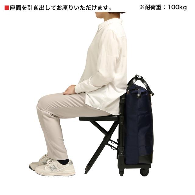 【レビュー投稿で+5％還元】スワニー ショッピングキャリー 当社限定 19L 55cm 3.3kg  座面付き 座れる 静音 静か 機内持ち込み D-696 東京デリカオリジナル SWANY 静音設計 買い物バッグ ロッカーサイズ 4輪ストッパー T2キャスター クリスマス_mp