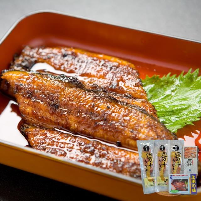 【お取り寄せ】【W】四万十うなぎ蒲焼 140g×3本セット | 沖縄・離島配送不可  お中元 夏ギフト