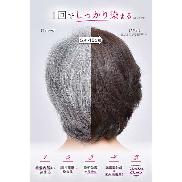 10％OFFクーポン】ヘアボーテ エクラ ボタニカルエアカラーフォームEX ...