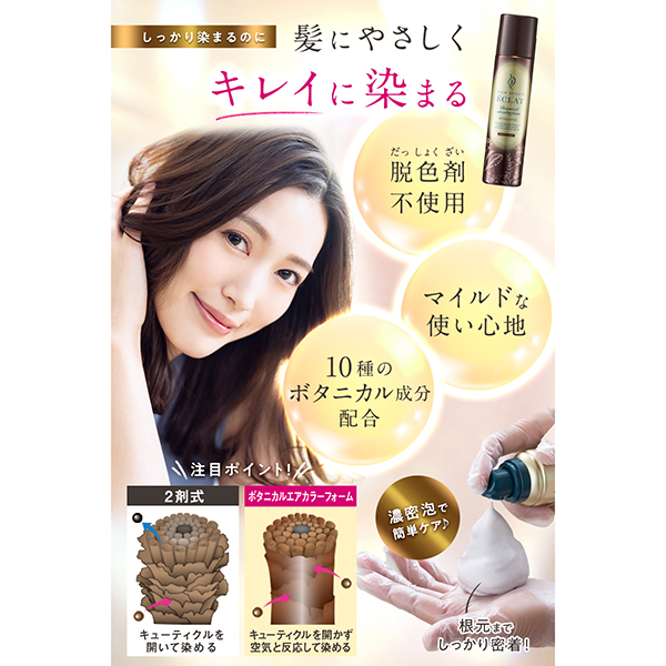 ヘアボーテエクラ ボタニカルエアカラーフォーム EX　 150g 　3本 FUTURE LABO（フューチャーラボ） ヘアボーテ エクラ ボタニカルエア