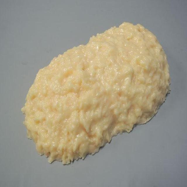 脂肪模型 IP-972 【直送品】 返品・キャンセル・他商品と同時購入は不可