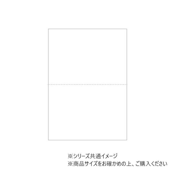 ヒサゴ マルチ印刷者帳票 A5 新規まき直し 2面 1200枚 BP2054Z 【直送品】 返品・取り止める・他商いものと一斉に買いもとめるは不可
