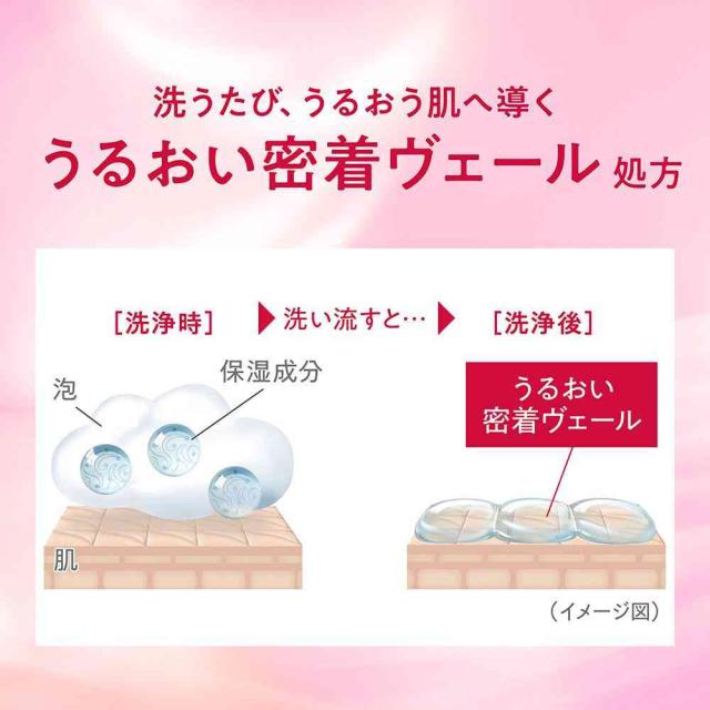 ライオン hadakara モイストボディケアソープ 液体タイプ リッチソープの香り つめかえ用 大型サイズ 750ml   【12個セット】_2