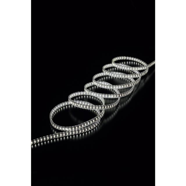 ハタヤ LEDテープライト両面発光タイプ（10m）セット 【直送品】 返品・キャンセル・他商品と同時購入は不可