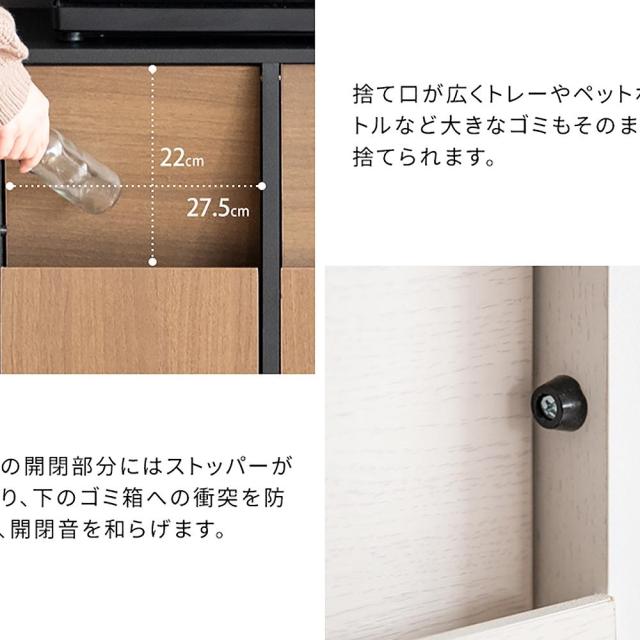 分別キャスターダストボックス DB-F2100 BRBK 組立必要【直送品】 返品・キャンセル・他商品と同時購入は不可
