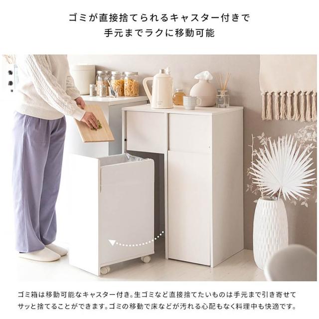 分別キャスターダストボックス DB-F2100 BRBK 組立必要【直送品】 返品・キャンセル・他商品と同時購入は不可