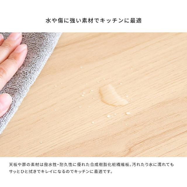 分別キャスターダストボックス DB-F2100 BRBK 組立必要【直送品】 返品・キャンセル・他商品と同時購入は不可