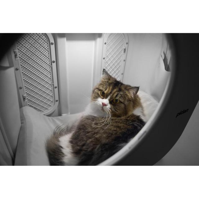 猫用トラベルボックス 【直送品】 返品・キャンセル・他商品と同時購入は不可_9