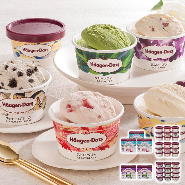 ハーゲンダッツ アソートバラエティ 産直グルメ 贅沢お取り寄せ ギフトに最適 食卓を彩る 大切な人への贈り物 ごちそう 株式会社ヤバケイ