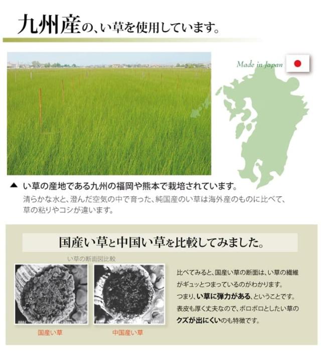 純国産 い草 上敷き 引っ敷き 糸引織 『梅花』 本間4.5畳(約286×286糎） 楽になること安全性のあるの純国産い草上敷き