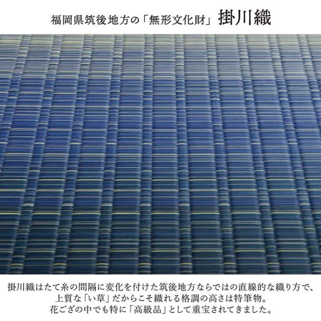 敷物 花ござ 国産 純国産 日本製 い草 掛川織 モダン 抗菌防臭 自然素材 草原 江戸間4.5畳 約261×261cm 掛川織で高級感のある、純国産い草花ござ_1