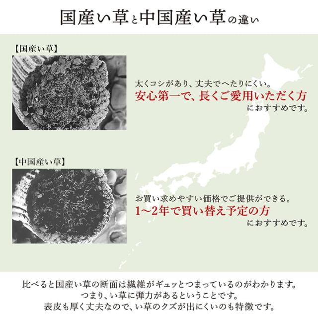 敷物 花ござ 国産 純国産 日本製 い草 掛川織 モダン 抗菌防臭 自然素材 草原 江戸間4.5畳 約261×261cm 掛川織で高級感のある、純国産い草花ござ_3