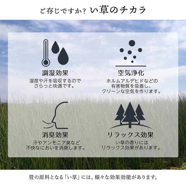 敷物 花ござ 国産 純国産 日本製 い草 掛川織 モダン 抗菌防臭 自然素材 草原 江戸間4.5畳 約261×261cm 掛川織で高級感のある、純国産い草花ござ_4