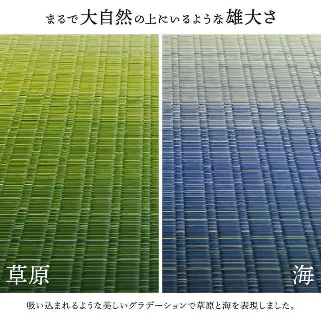 敷物 花ござ 国産 純国産 日本製 い草 掛川織 モダン 抗菌防臭 自然素材 草原 江戸間4.5畳 約261×261cm 掛川織で高級感のある、純国産い草花ござ_5