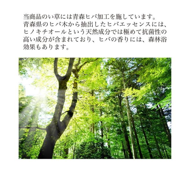 堀こたつ 掘りごたつ 堀り 炬燵 い草 ラグ 敷 市松 くり抜き 付属 連結 約191×250cm（中抜き:約90×120cm） 掘りごたつ専用、くり抜きタイプのい草ラグ_7