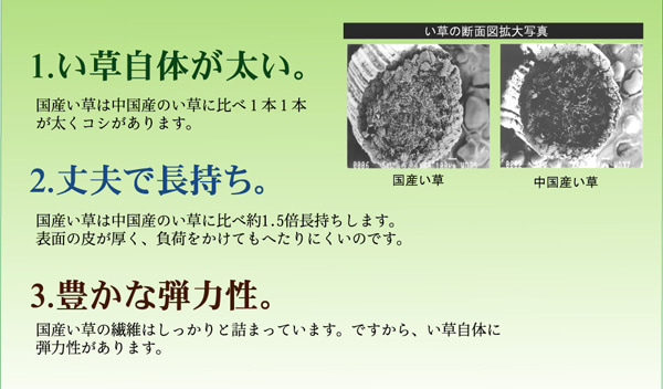 純国産 イ被子植物ござ引っ敷き 『扇』 日本の首都間6畳(約261×352糎) 楽になること安全性のあるの純国産い草引っ敷き