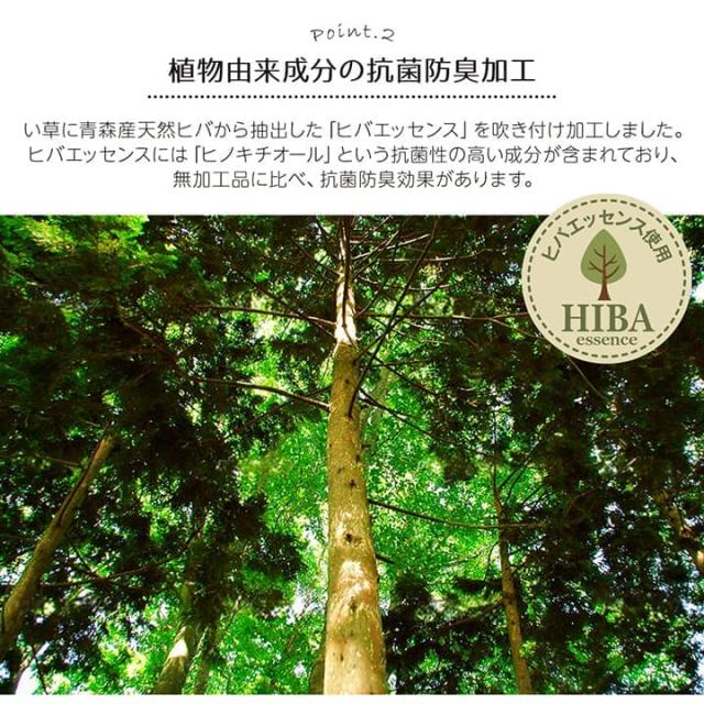 い草ラグ 裏ばり 花ござ カーペット ラグ 6畳 ギャベ柄 抗菌防臭 消臭 江戸間6畳 (約261×352cm） ギャッベ柄のおしゃれない草ラグ 1030290240602 