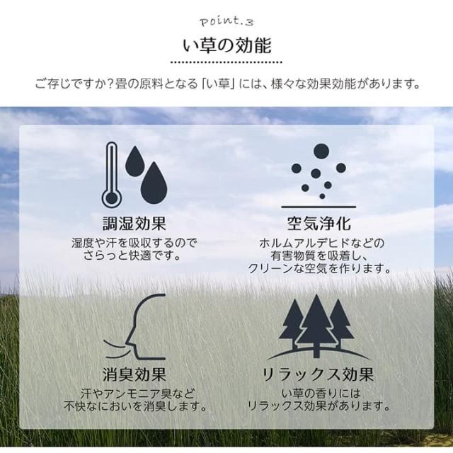 い草ラグ 裏ばり 花ござ カーペット ラグ 6畳 ギャベ柄 抗菌防臭 消臭 江戸間6畳 (約261×352cm） ギャッベ柄のおしゃれない草ラグ 1030290240602 