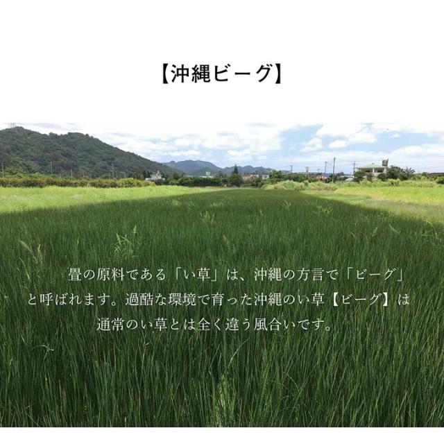 日本製 国産 純国産 沖縄ビーグ ラグ い草 約191×191cm 沖縄ビーグを使用した、国産い草ラグ_2