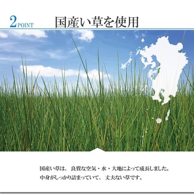 引っ敷き 日本製 守りつづける性抗菌剤 KOBA-GUARD 制菌 抗菌防臭 夏 い草 市松 今めかしい 上滑り打ちきり 約191×250糎 抗菌防臭で身ぎれいな、上滑り打ちきり付き添い人国産い草引っ敷き
