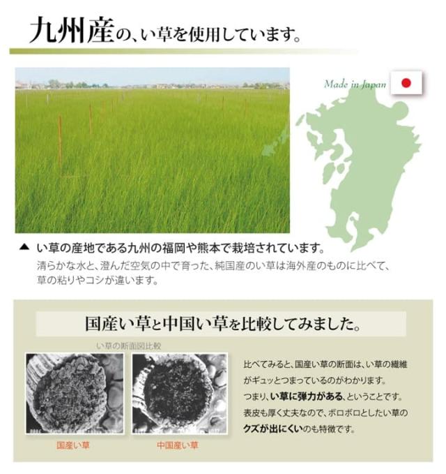 純国産 い草 上敷き カーペット 双目織 『ほほえみ』 三六間8畳(約364×364cm） 安心安全の純国産い草上敷き_4