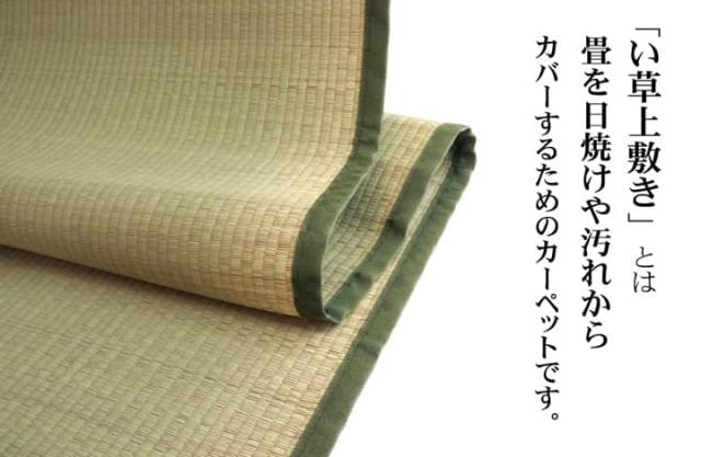純国産 い草 上敷き カーペット 双目織 『草津』 本間8畳(約382×382cm） 安心安全の純国産い草上敷き_1