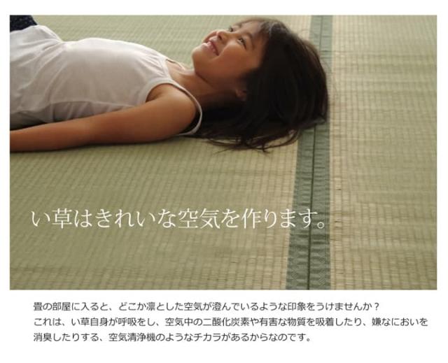 純国産 い草 上敷き カーペット 双目織 『草津』 本間8畳(約382×382cm） 安心安全の純国産い草上敷き_7