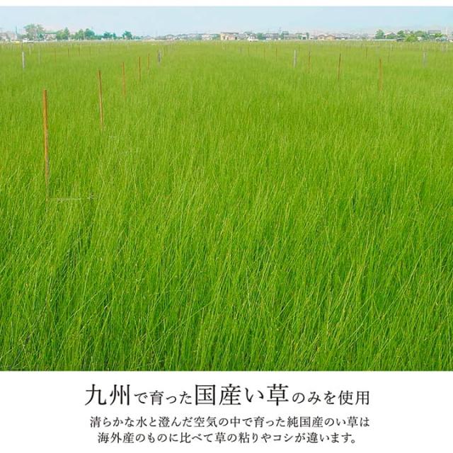 ラグ い草 モダン 純国産 国産 日本製 ウレタン 抗菌防臭 自然素材 ナチュラル 約191×250cm 抗菌防臭で清潔な、国産い草ラグ_3