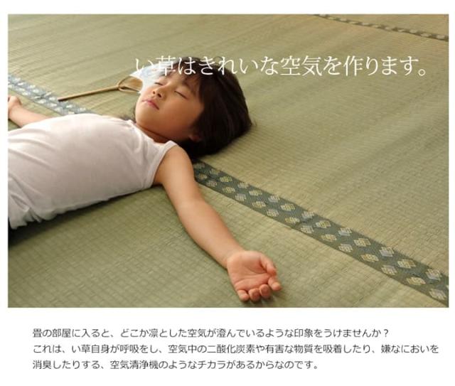 純国産 い草 上敷き カーペット 双目織 『松』 六一間8畳(約370×370cm） 安心安全の純国産い草上敷き_7