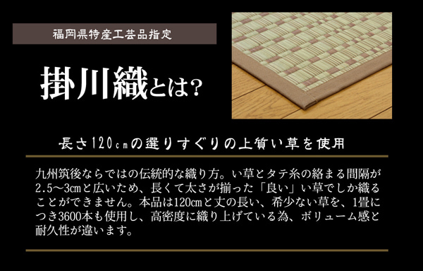 純国産 掛川織 い草カーペット 『奥丹後』 江戸間6畳(約261×352cm） 掛川織で高級感のある国産い草カーペット_2