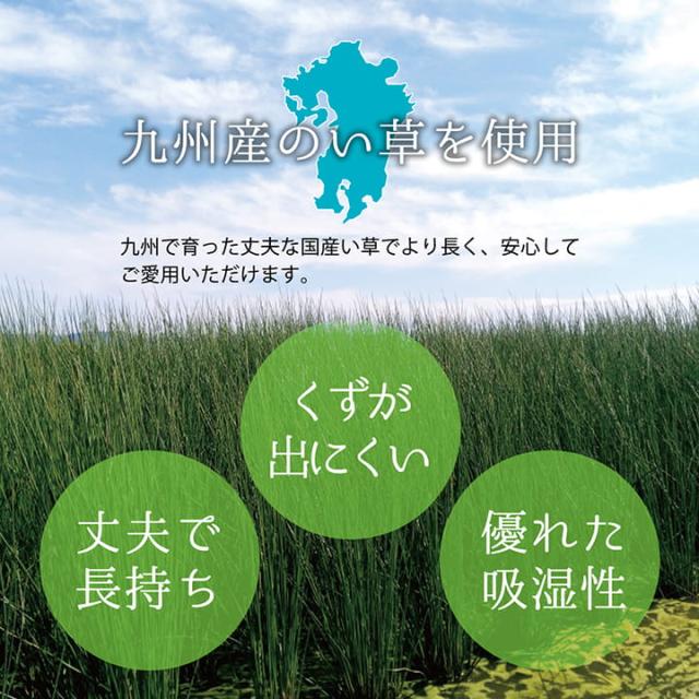 上敷き ゴザ 敷詰 カーペット い草 自然素材 日本製 国産 消臭 抗菌防臭 麻の葉 レトロ 和 江戸間4.5畳 約261×261cm 安心安全の純国産い草上敷き 