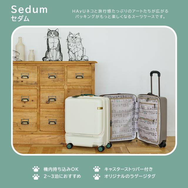 商品レビューで+5%｜エース トーキョーレーベル HAyU スーツケース 機内持ち込み Sサイズ SS 40L 小型 小さめ フロントオープン 静音キャスター ストッパー 4輪 双輪 キャリーケース キャリーバッグ ace.TOKYO LABEL 09081_5