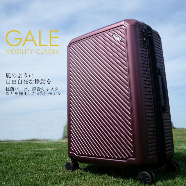 商品レビューで+5%｜アジアラゲージ スーツケース 機内持ち込み Sサイズ SS 36L 軽量 拡張 ブランド ガーレ A.L.I GALE ALI-6020-18W キャリーケース_1