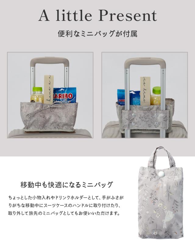 商品レビューで+5%｜エース ハント ココント スーツケース 機内持ち込み Sサイズ SS 34L フロントオープン ストッパー付き 女性 軽量 可愛い かわいい 2泊3日 HaNT KOKONT 05513 キャリーケース_12