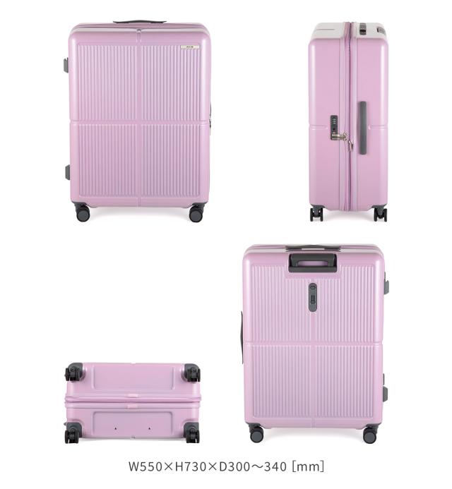 商品レビューで+5%｜エース スーツケース Lサイズ LL XL 89L/106L 大型