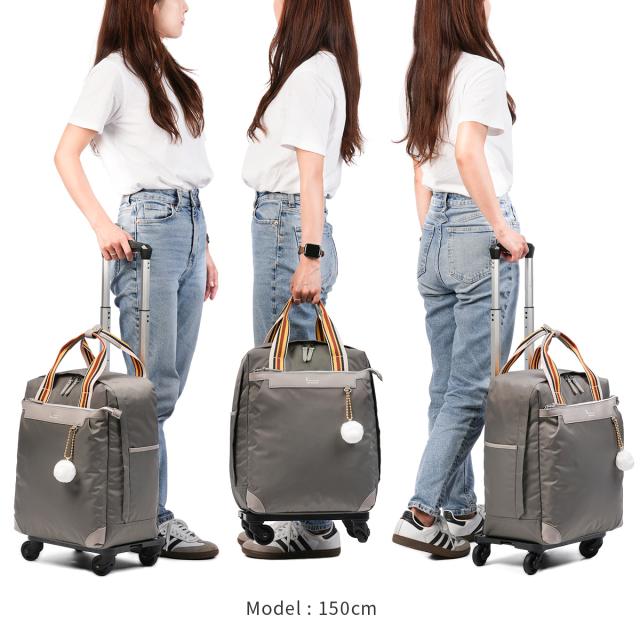 商品レビューで+5%｜カナナプロジェクト コレクション ソフトキャリー