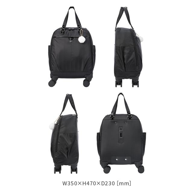 商品レビューで+5%｜カナナプロジェクト コレクション ソフトキャリー