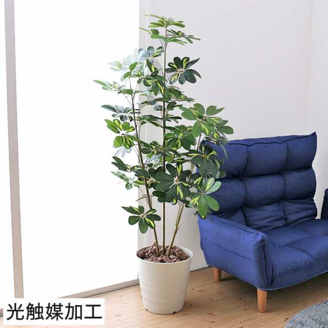 人工観葉植物 大型 カポック斑入り1 5 光触媒加工 V Cat 消臭 抗菌 防汚 ホルムアルデヒド分解 の通販はau Pay マーケット 家具のインテリアオフィスワン