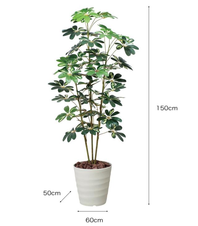 人工観葉植物 大型 カポック斑入り1 5 光触媒加工 V Cat 消臭 抗菌 防汚 ホルムアルデヒド分解 の通販はau Pay マーケット 家具のインテリアオフィスワン