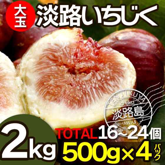 淡路島 いちじく 無花果 生いちじく イチジク 2kg 500g 4パック 約24個入り 特別栽培 ドーフィン 無添加 朝採れ 冷蔵便 産地直送の通販はau Pay マーケット 天竺屋徳兵衛本舗