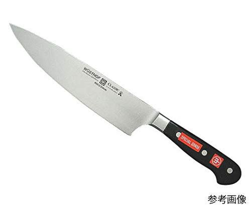 20】尺八☆二尺一寸 和田謹製 正寸 和楽器