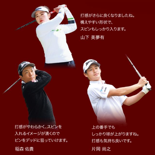 【カスタムオーダー】 【5本セット】 6〜9･PW スリクソン　Zxi 5　DynamicGold　ゴルフクラブ　ダンロップ　_6
