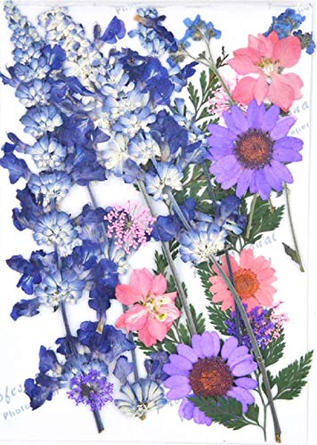 Diy用 押し花 ドライフラワー ブリザードフラワー 紫系ミックスの通販はau Pay マーケット Ahs Store