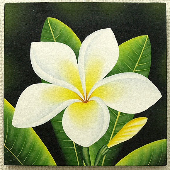 バリ絵画 プルメリア14(40×40cm) インテリア 花 壁掛け バリ