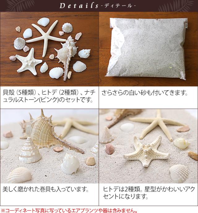 購入 北欧 置物 貝 雑貨 インテリア おしゃれ オブジェ1 北欧 置物 貝