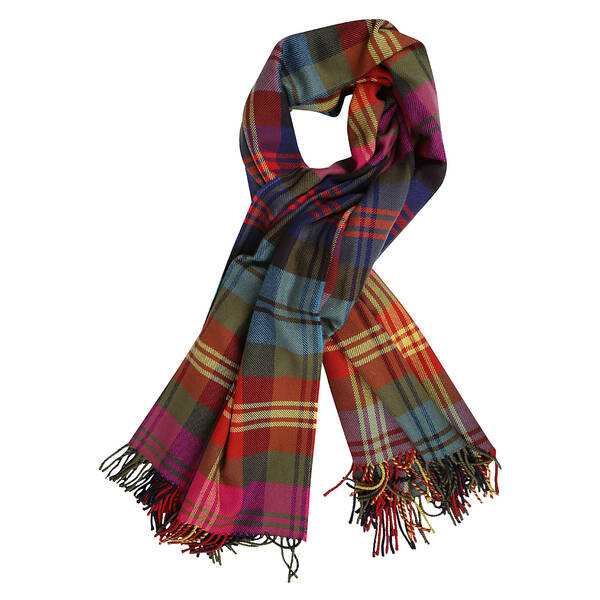 エトロ レディース マフラー・ストール・スカーフ アクセサリー Scarf